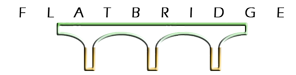 Morgan Consulting